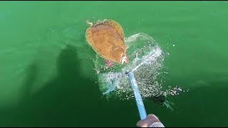 Big Fluke Completes a Slam! Plus Seabass and Porgies.