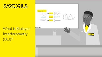 Biolayer Interferometry (BLI) | The Biophysics Behind the BLI Technology, Explained