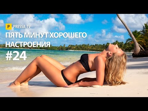 Лучшие приколы декабря часть 5 - Pressa.tv