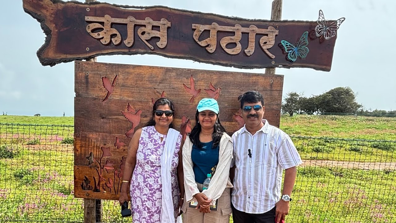 “Kaas Pathar Bloom 2025 🌼 | Maharashtra’s Valley of Flowers  