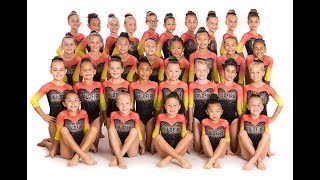 Wildfire Gymnastics Level 3 2017 Showcase
