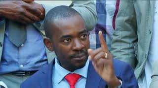 MDC Alliance leader answers questions from media on Zimbabwe elections results
