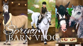 Spring Barn Vlog : Lessons, Lunging, Vet Care, Schooling & More! II SSO RRP by Amelia Dreambell 34,911 views 1 month ago 15 minutes