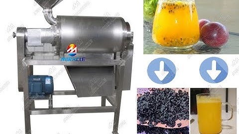 passion fruit seed extract machine-passion fruit pulp and seed separated machine
