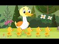 5 Little Ducks & Baby Shark | Fun Nursery Rhymes for Kids