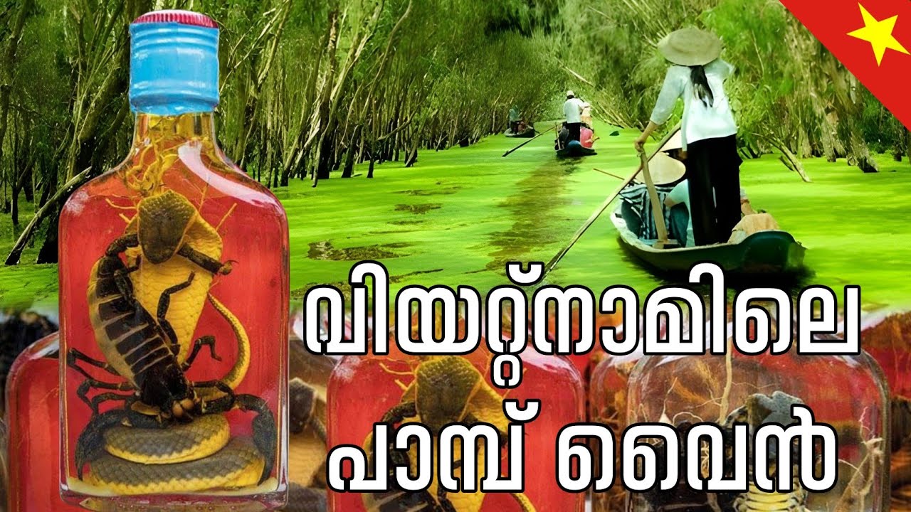 Vietnam Mekong Delta And Snake Wine. മലയാളം 