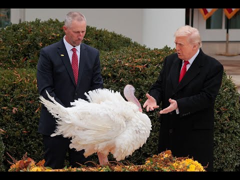 د عصام عبد الشافي ترامب والعدوان على السعودية