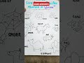 Islamic Worksheets For kids #kidscrafts #kidsislamicvideo #islamic #kidsactivities #arabic #kids