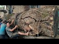 A scary thing happened at this wood factory, the cutting of trembesi wood was a big deal!!