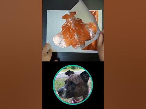Seirra the cute Pitbull Mix - YouTube