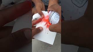 Labbayak Ya Hussain #viralvideo #trending #shorts #viral #shortvideo #pigeon