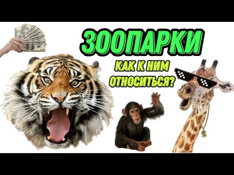 ПОЧЕМУ ЗООПАРКИ - НЕ ЗЛО / изнанка / как устроен зоопарк