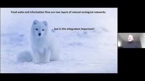Ulrich Brose - The internet of nature: integrating food webs with information flow