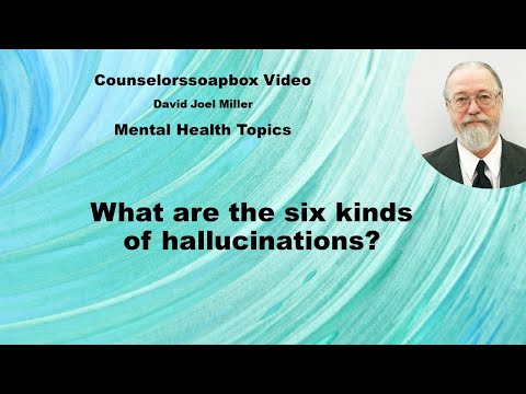 Six Kinds of Hallucinations