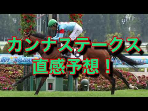 カンナステークス 直感予想！