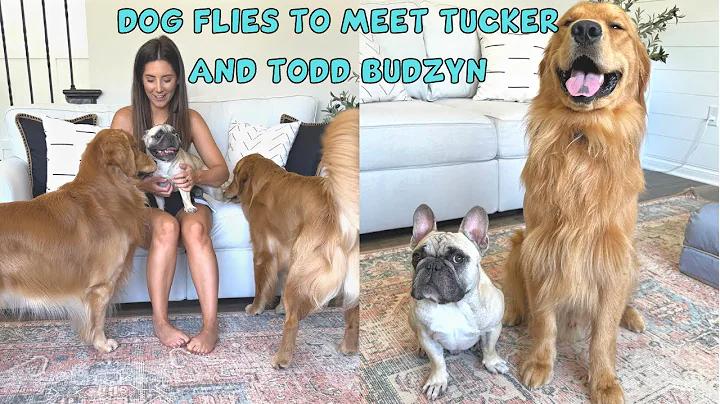 My Dog Met @Tucker Budzyn and his son, Todd!