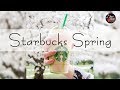 Starbucks Spring Jazz 2020 - Background Rain Spring - Relax Music for Wake Up, Work, Study