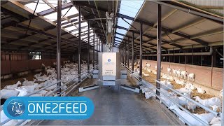 One2feed  Double Feed pusher Goats  Automatic feeding