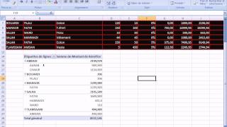 Cours et Formation Bureautique Microsoft Excel Leçon 11 - tableau croisé dynamique