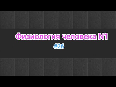 Физиология. ЭКГ-2. 12 отведение (6 грудных, 3 стандартных, 3 однополюсных). #26