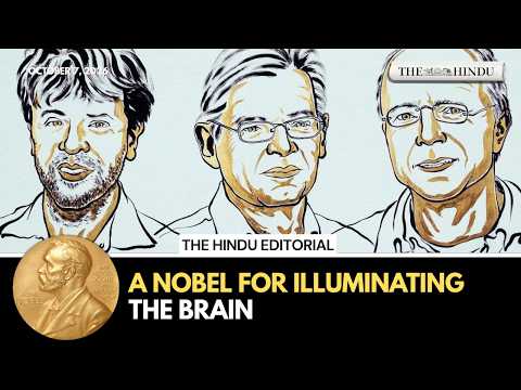 How scientists learned to control brain cells with light | The Hindu Editorial
