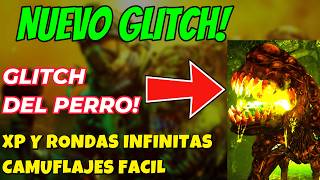 BO7 ZOMBIES NUEVO GLITCH TRASPASA EL MAPA CON EL PERRO! XP CAMUFLAJES CHICLES INFINITOS!