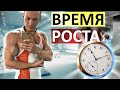 КОГДА ЛУЧШЕ РАСТЕТ МЫШЕЧНАЯ МАССА!? | В какое время суток лучше растут мышцы?