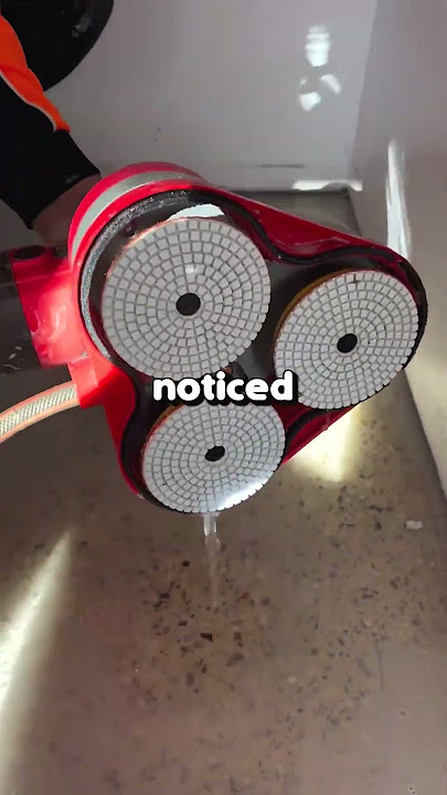 What's the dumbest rumor that spread through your school?