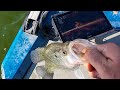 Summertime Crappie Fishing Using LIVESCOPE {catch Clean Cook}