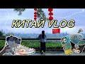 02. КИТАЙ VLOG 🇨🇳 ГУАНЧЖОУ, КАФЕ, ШОППИНГ, НАШЛА КОТЕНКА И ЧТО БЫЛО ДАЛЬШЕ?