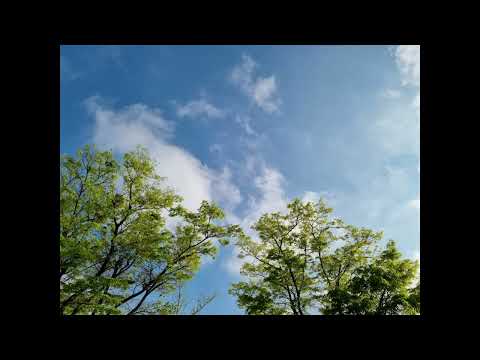 그런걸까 - 이적