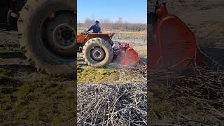 Toscano 200 Cm Kaydırmalı Dal Sap Ot Parçalama Makinesini 480 Fiatle Deniyoruz Resimi