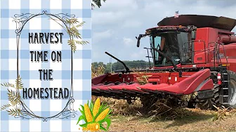 Harvest Time On the Homestead ~The Corn Harvesting Process!