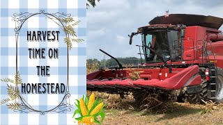 Harvest Time On the Homestead ~The Corn Harvesting Process!