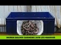 How To Start A New Composting Worm Bin ( Step By Step) DIY-Viewer Request