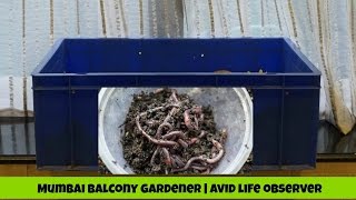 How To Start A New Composting Worm Bin ( Step By Step) DIYViewer Request