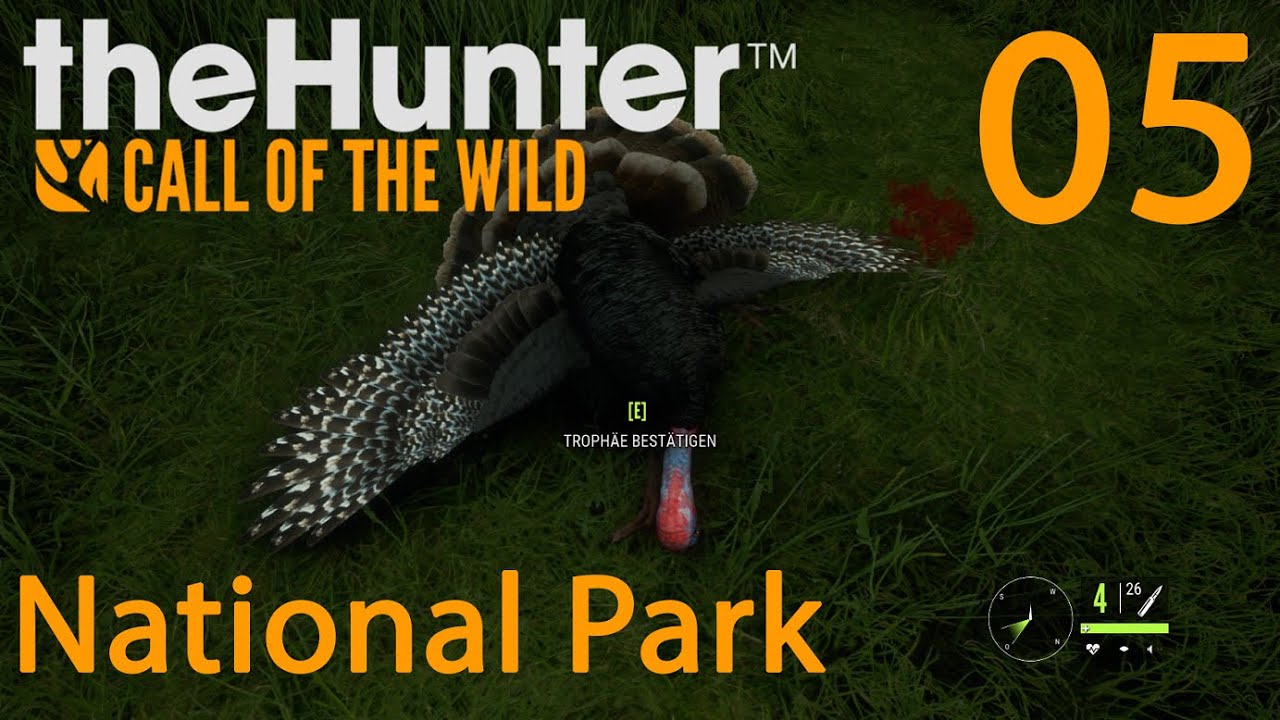 THE HUNTER CALL OF THE WILD MULTIPLAYER 005 Mein erster Truthahn YouTube