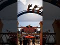 Thank you to the child of Serpent and Phoenix #phoenixrising #buschgardenstampa #coasterlife