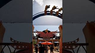 Thank you to the child of Serpent and Phoenix #phoenixrising #buschgardenstampa #coasterlife