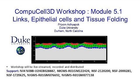 CompuCell3D Workshop 5.1 Invagination and Epithelia in CC3D August 5 2022