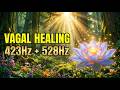 Vagus Reset ❯ 528Hz Nervous System Repair | 40-Min Active Healing Session