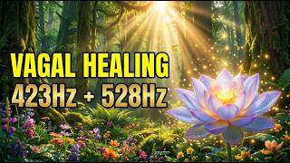 Vagus Reset ❯ 528Hz Nervous System Repair | 40-Min Active Healing Session