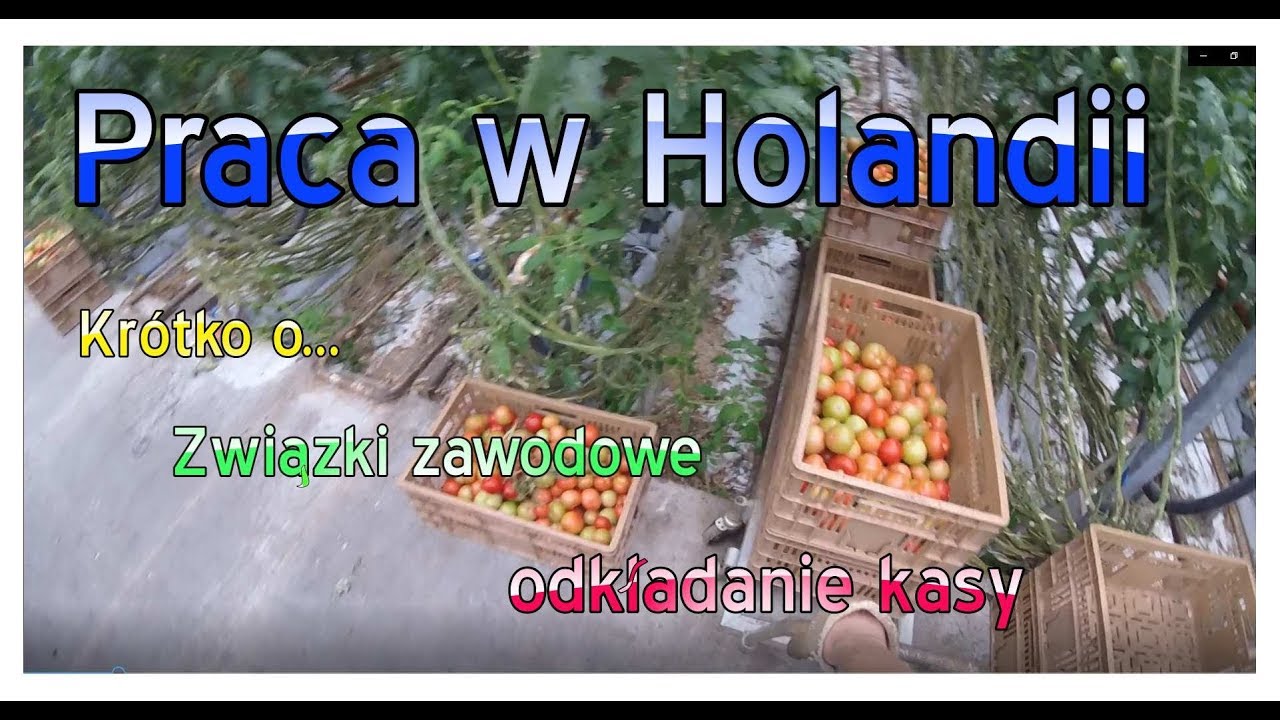 Praca w Holandii. Krótko o ZWIĄZKI ZAWODOWE i ODKŁADANIE KASY. YouTube Praca w Holandii. Krótko o ZWIĄZKI ZAWODOWE i ODKŁADANIE KASY. YouTube