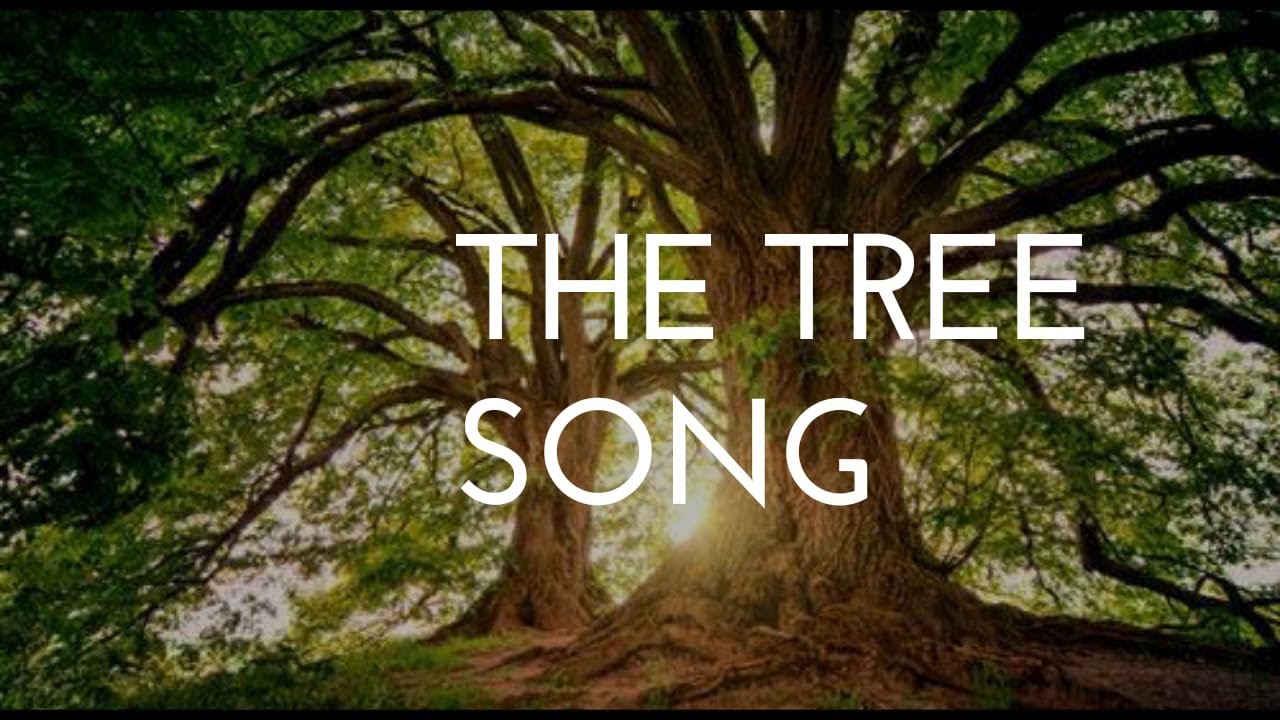 The Tree Song Evie Karlsson A Cappella Cover By Shirley Cogen YouTube The Tree Song Evie Karlsson A Cappella Cover By Shirley Cogen YouTube