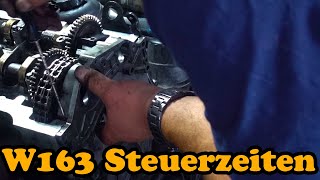 Mercedes W163 - Steuerzeiten - Zusammenbau - Reinigung ! by Mr. DO IT! 5,782 views 9 months ago 10 minutes, 58 seconds