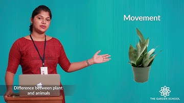 Grade 3 General Science Difference between plants and animals