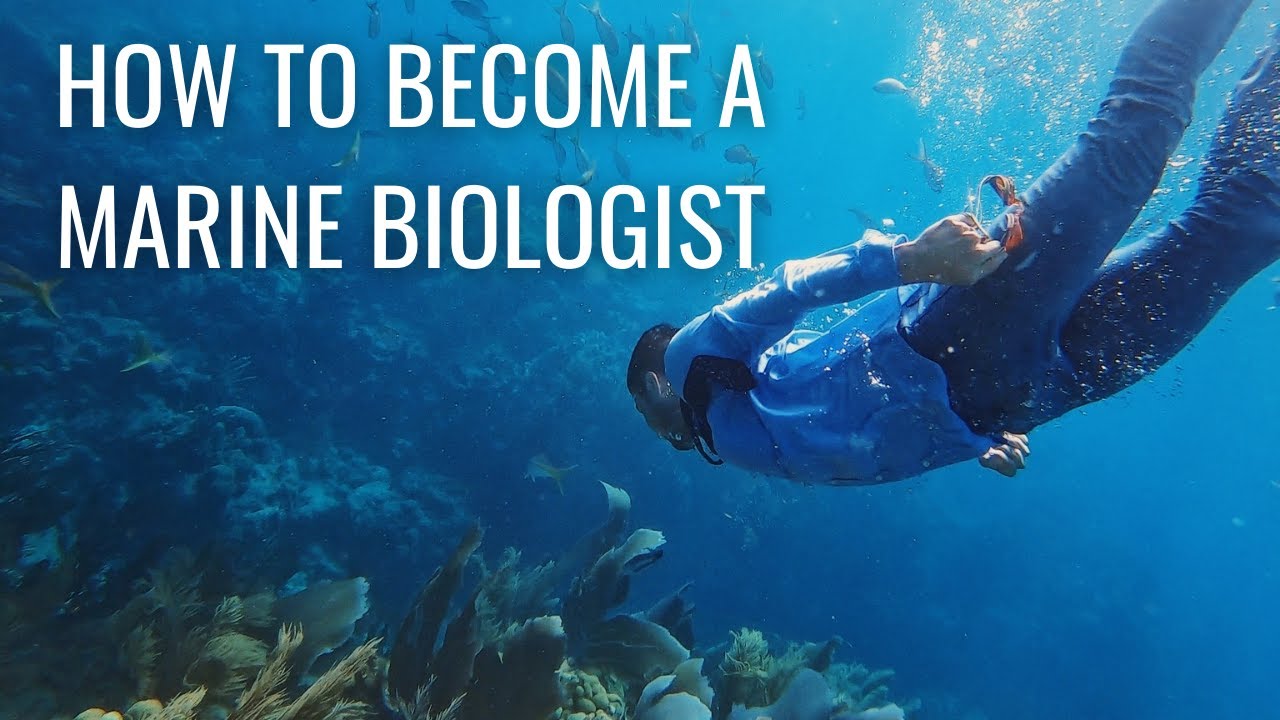 what is a phd degree in marine biology