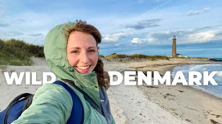 Wild Denmark is the Next Big Thing in Europe