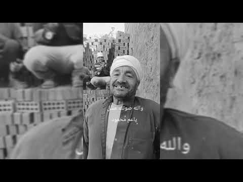 الحج محمود بكر عدوية الغلابة ريمكس سواق وشاطر اوي ترند تيك توك فوق العظمه
