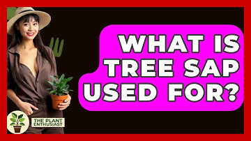 What Is Tree Sap Used For? - The Plant Enthusiast